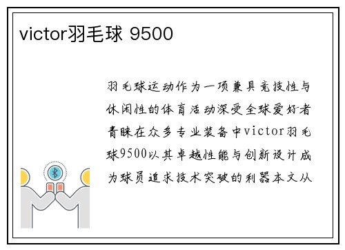 victor羽毛球 9500