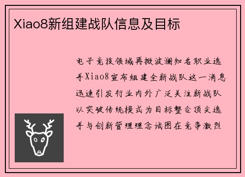Xiao8新组建战队信息及目标